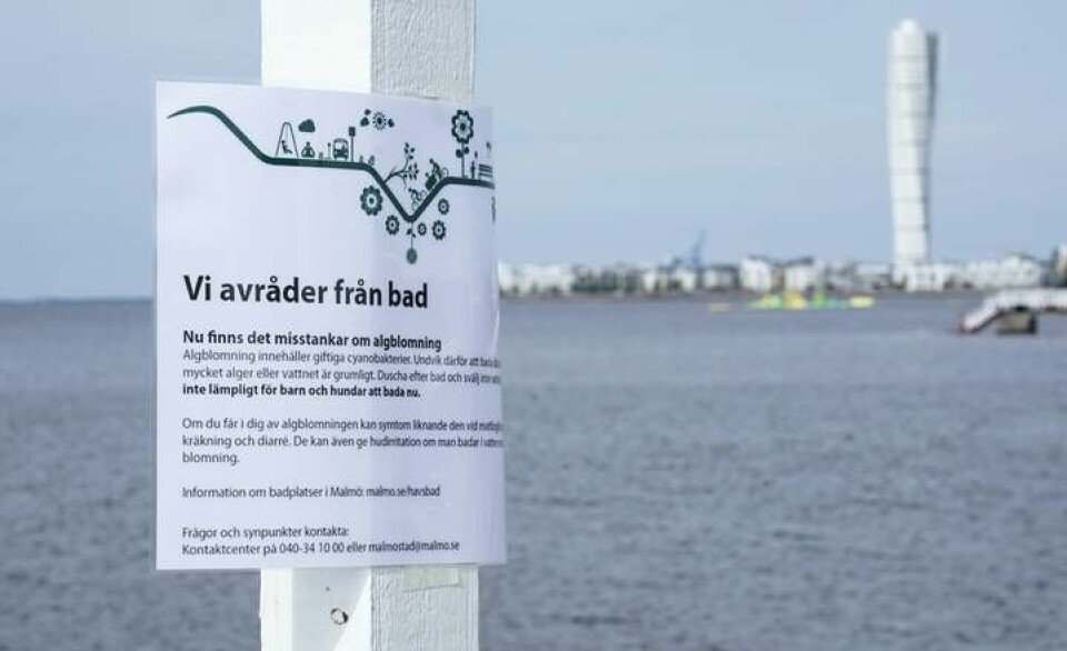 Tack vare satelliterna kan åtgärder som att varna för att dricka eller bada i vattnet sättas in snabbare.
Foto: Johan Nilsson/TT