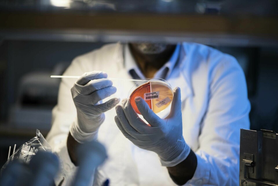Forskare på Chalmers har hittat en ny metod för att upptäcka resistens i bakterier. Arkivbild. Foto: Fredrik Sandberg/TT