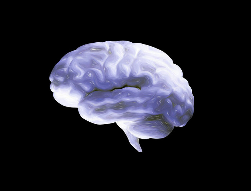 Den mänskliga hjärnan är komplex och det är fortfarande mycket vi inte vet om den. Foto: Illustration: Science Photo Library.