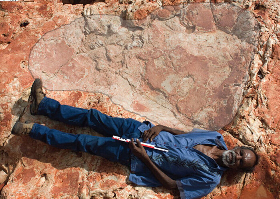 Foto: Salisbury et al, Journal of Vertebrate Paleontology Foto: Salisbury et al, Journal of Vertebrate Paleontology