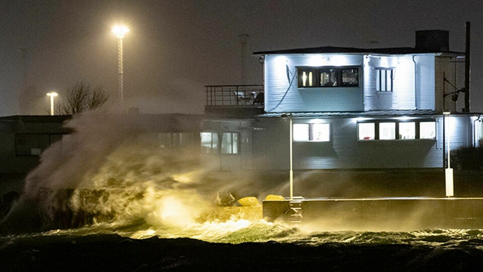 Stormen Alfrida har orsakat stora problem i Sverige. Foto: TT