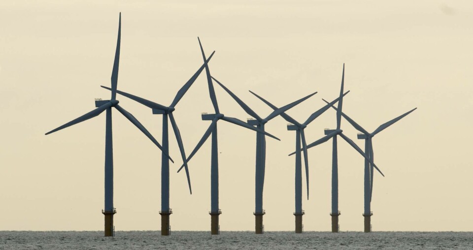 Havsvindkraft vid Essex kust, Storbritannien. Foto: REX/TT Havsvindkraft vid Essex kust, Storbritannien. Foto: REX/TT