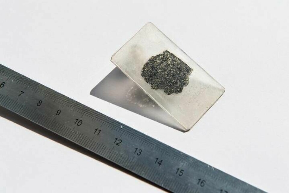 Närbild av meteoriten som gett bevis för forskarnas teori om hur planeter skapas. Foto: HILLARY SANCTUARY