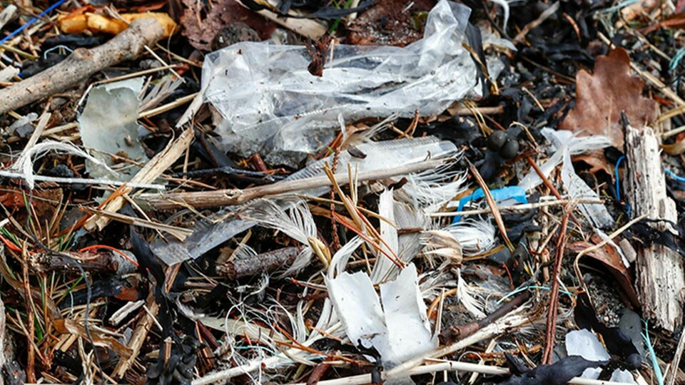 Miljöpartiets förslag på förbud mot vissa plastsaker, skatt på engångsartiklar och böter för den som kastar fimpar och snus för att minska både nedskräpning och mängden plast i haven. Foto: Terje Pedersen / NTB scanpix / TT