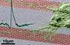 Grafentransistor kan ge synen åter