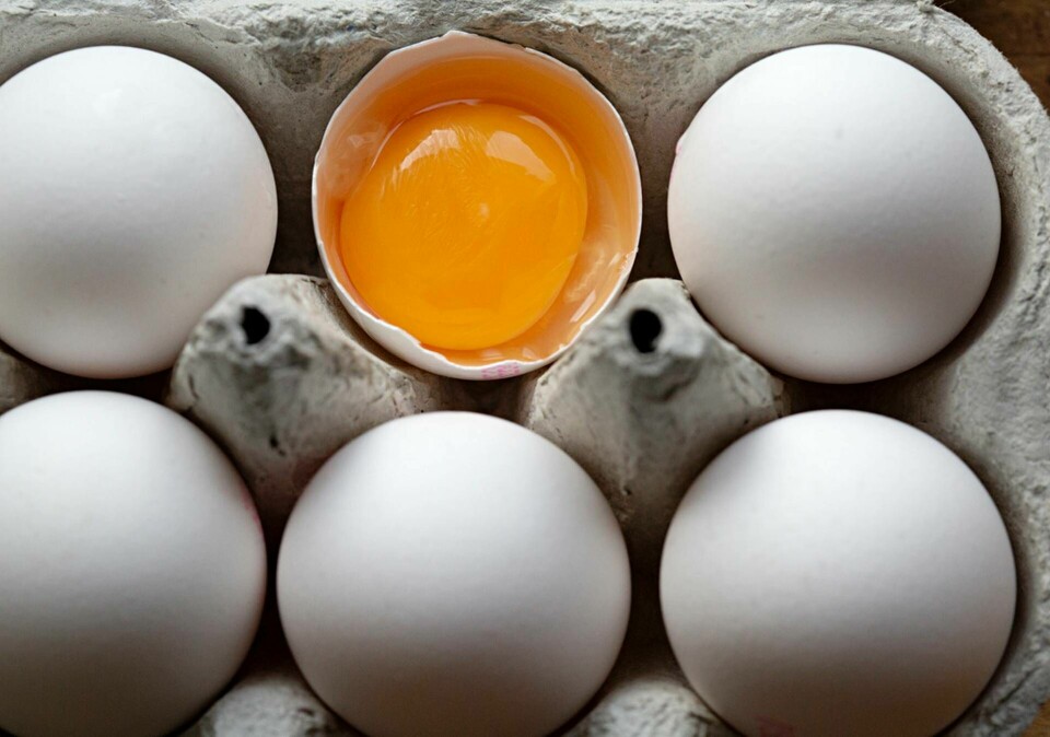 Nästa år införs gränsvärden för PFAS-ämnen i bland annat ägg. Arkivbild. Foto: Martina Holmberg / TT