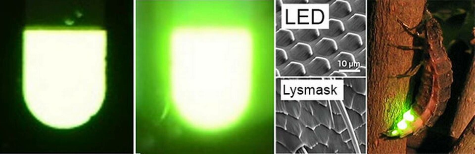 Genom att imitera strukturen på en lysmasks lykta har forskare fått en lysdiod att avge ett starkare sken. Foto Nano Letters Genom att imitera strukturen på en lysmasks lykta har forskare fått en lysdiod att avge ett starkare sken. Foto Nano Letters