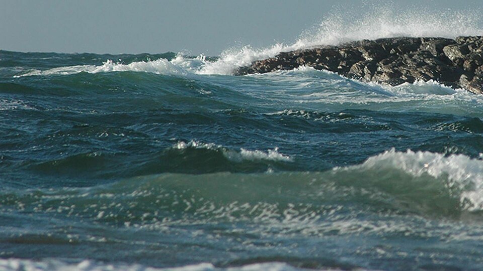 Foto: KP Images Coastal / Alamy Foto: KP Images Coastal / Alamy