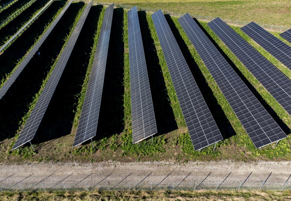 Solcellsbranschen tuffar på trots motstånd. Här syns Skånes största solcellspark, utanför Skurup. Arkivbild. Foto: Johan Nilsson/TT Solcellsbranschen tuffar på trots motstånd. Här syns Skånes största solcellspark, utanför Skurup. Arkivbild. Foto: Johan Nilsson/TT
