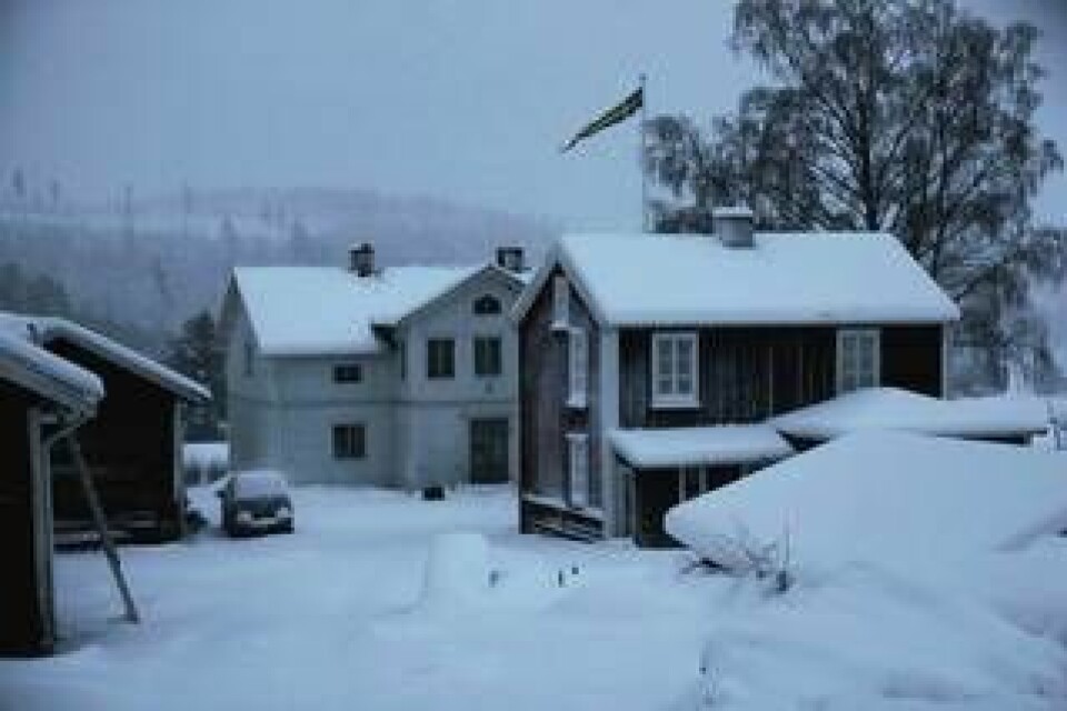 Hushåll i södra Sverige riskerar att kopplas bort från elnätet om det uppstår effektbrist i vinter. Arkivbild. Foto: Mats Andersson/TT