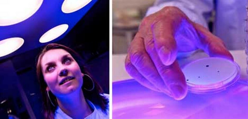 Riskfritt för människor – livsfarligt för antibiotikaresistenta bakterier.
Foto: University of Strathclyde Riskfritt för människor – livsfarligt för antibiotikaresistenta bakterier.
Foto: University of Strathclyde