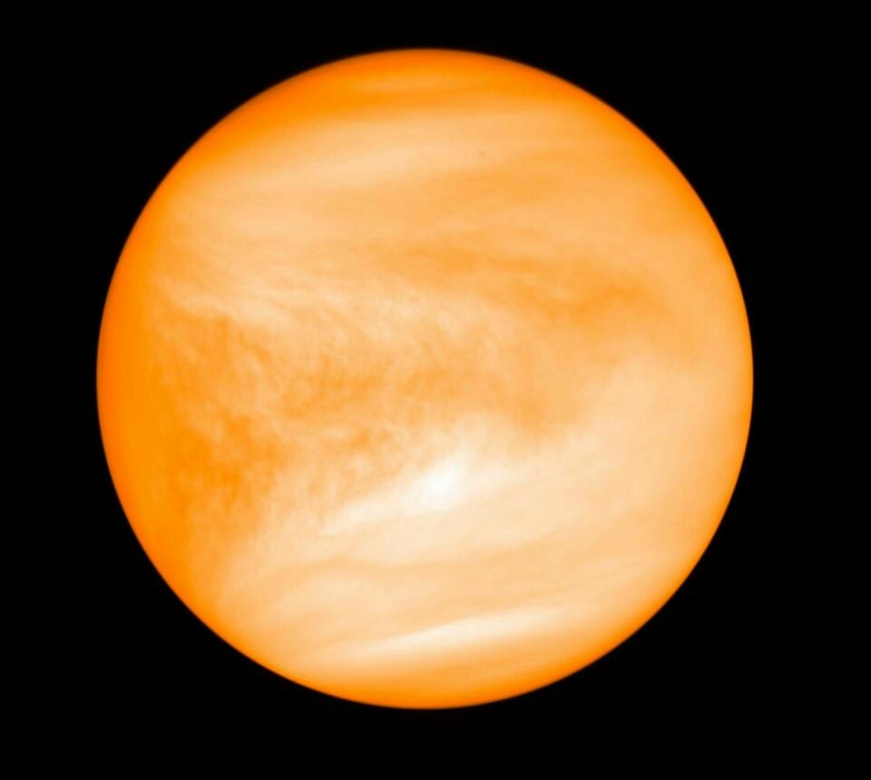 Venus är ungefär lika stor som jorden, med en liknande massa. Omfattande vulkanutbrott för 600–800 miljoner år sedan anses ha omvandlat hela planetens yta dramatiskt. Arkivbild. Foto: J. Greaves/Cardiff University/JAXA via AP