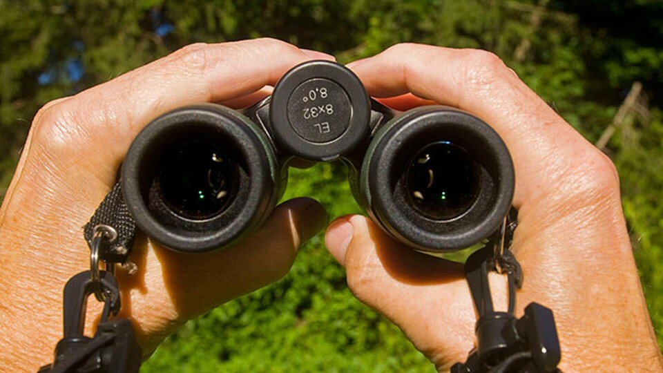 Även insidan syns utåt. Foto: IBL Även insidan syns utåt. Foto: IBL