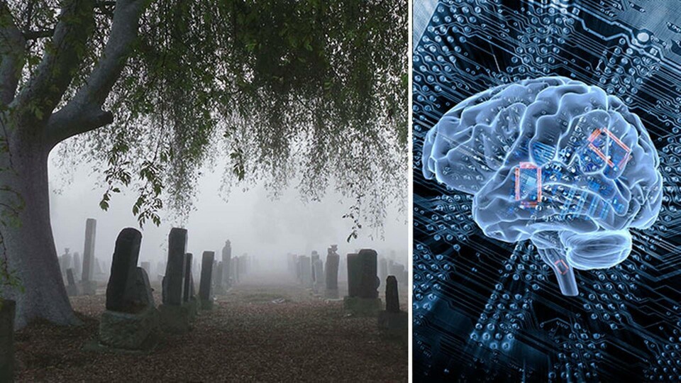 Stanfordforskarnas ai kan förutspå döden med 90 procents säkerhet. Foto: TT / IBL Stanfordforskarnas ai kan förutspå döden med 90 procents säkerhet. Foto: TT / IBL
