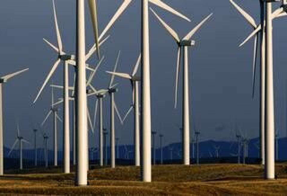 Förnybara energikällor som vind och sol fortsätter att växa snabbt i världen, enligt IEA. Bilden är från en vindkraftsfarm i Wyoming i USA. Foto: Matt Young/AP/TT