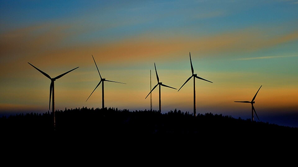 Energiföretagens rapport: Dagens elnät räcker inte till för klara framtidens elbehov. Foto: TT Energiföretagens rapport: Dagens elnät räcker inte till för klara framtidens elbehov. Foto: TT