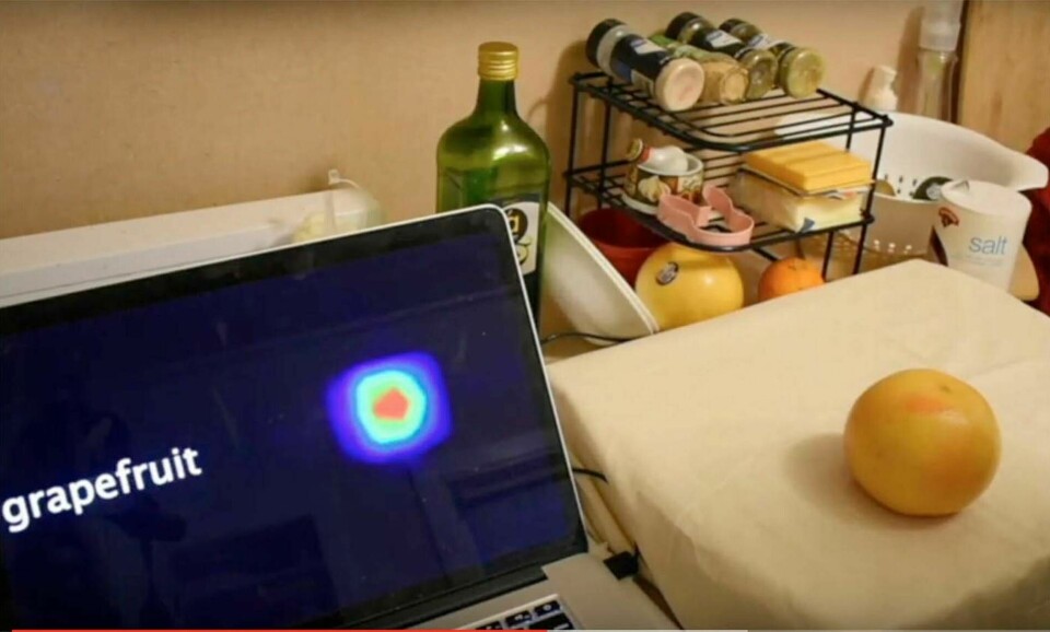 Bordsduken identifierar en grapefrukt. Foto: Dartmouth College