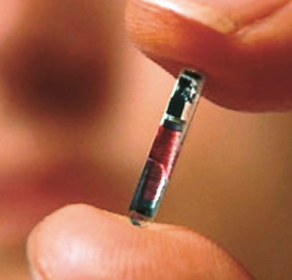 Automation Region söker efter försökspersoner till ett projekt med inopererade rfid-taggar som ny plånbok... tekniskt sett är det dock inget skämt. Bilden visar rfid-taggen Verichip, godkänd i USA för implantat på människor. Verichip marknadsfördes tidigare av Verichip Corporation, numera Positive ID. Automation Region söker efter försökspersoner till ett projekt med inopererade rfid-taggar som ny plånbok... tekniskt sett är det dock inget skämt. Bilden visar rfid-taggen Verichip, godkänd i USA för implantat på människor. Verichip marknadsfördes tidigare av Verichip Corporation, numera Positive ID.