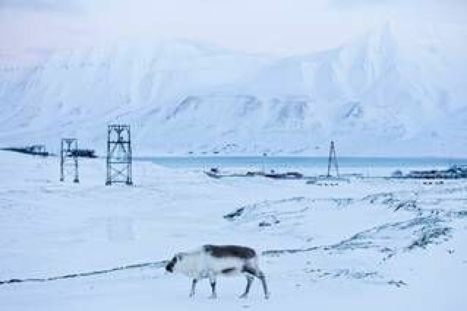 De senaste åren har utsläppen från kolkraftverket i Longyearbyen på den norska ögruppen Svalbard ökat. Arkivbild.
Foto: Tore Meek/NTB/TT