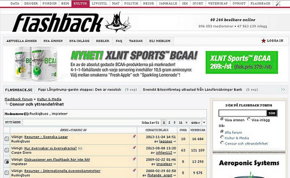 Den grävande gruppen Researchgruppen hävdar att de har personuppgifter till Flashback-användarnas kontouppgifter. Foto: TT Den grävande gruppen Researchgruppen hävdar att de har personuppgifter till Flashback-användarnas kontouppgifter. Foto: TT