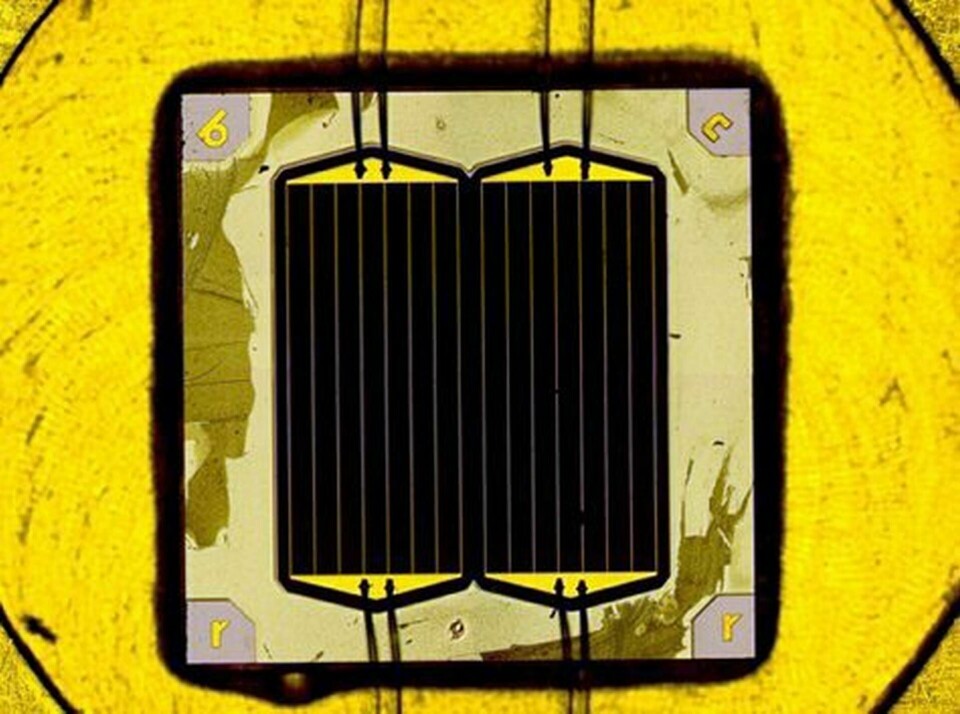 Den fem kvadratmillimeter stora solcellen som slagit världsekord.