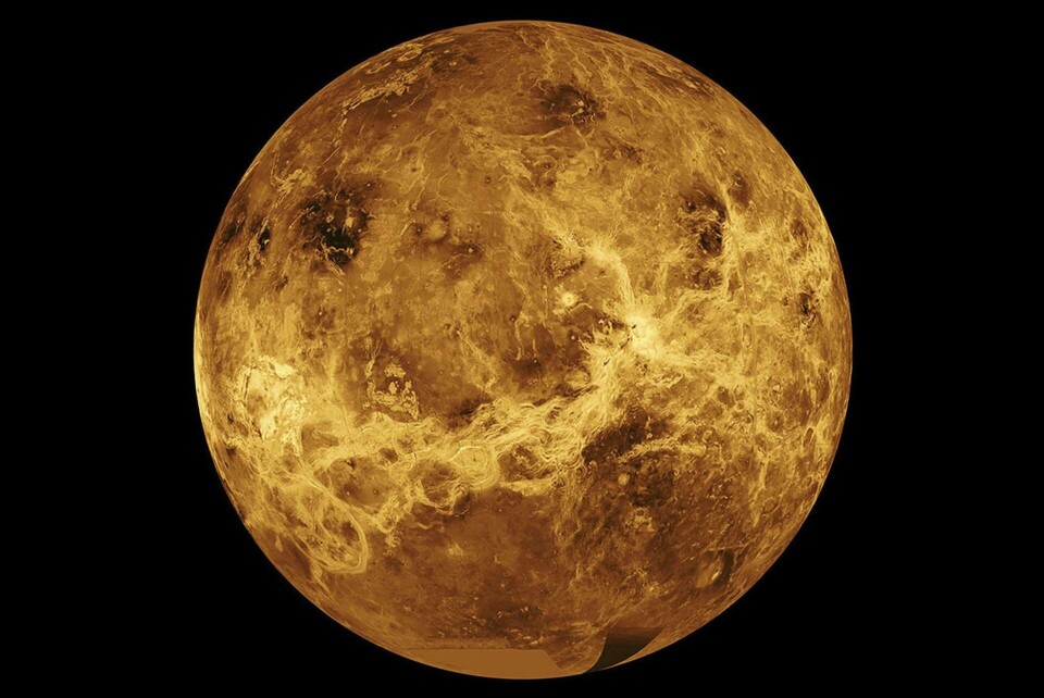 Planeten Venus. Arkivbild. Foto: Nasa/JPL-Caltech/AP/TT Planeten Venus. Arkivbild. Foto: Nasa/JPL-Caltech/AP/TT