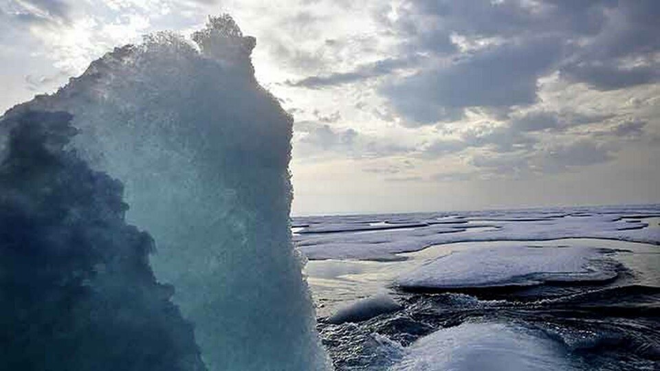 Arktis nordvästpassage under sommaren 2017. Foto: TT / AP Photo / David Goldman Arktis nordvästpassage under sommaren 2017. Foto: TT / AP Photo / David Goldman