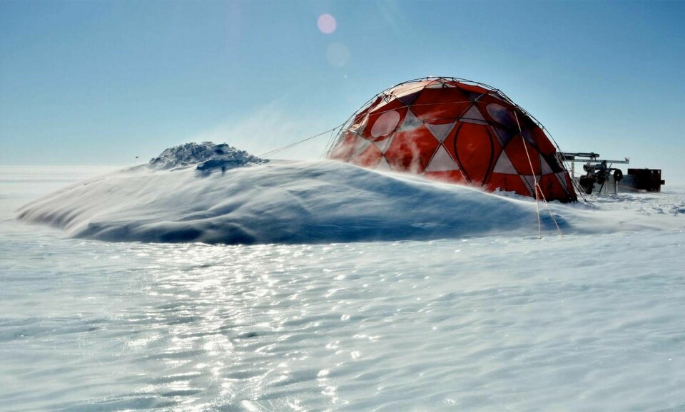 Allan Hills, Antarktis. Foto: Princeton University