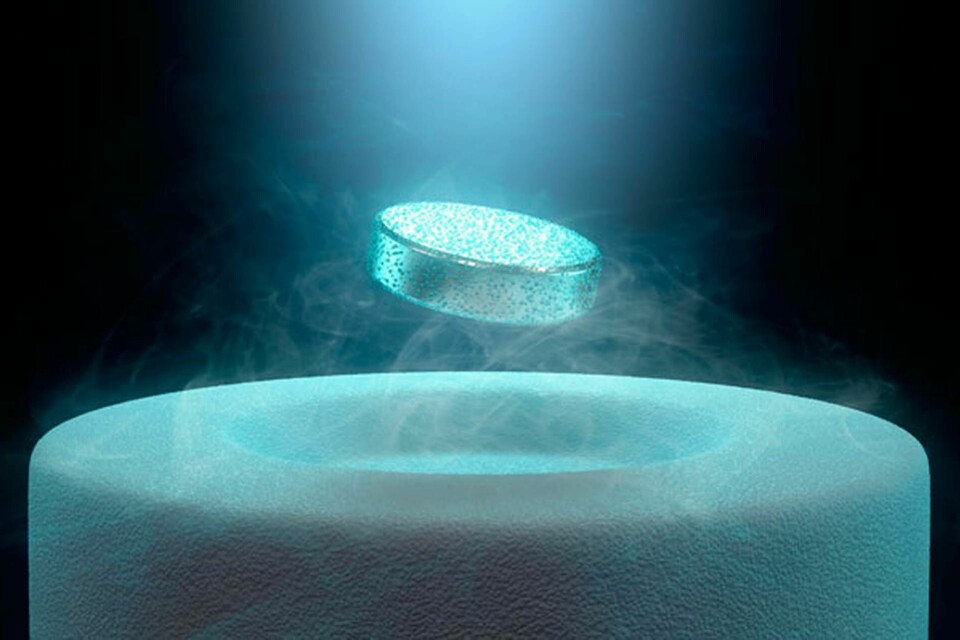 En magnet som svävar över en supraledare som kylts ner till nära den absoluta nollpunkten ?273,15 grader Celsius.
Foto: Alamy