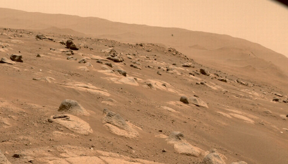 Spacex vill skicka människor till Mars redan 2024. Men det finns en del hinder. Foto: Nasa