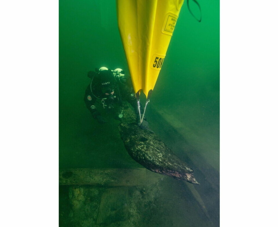 Undersökningar av rodret på skeppet Gribshunden. Foto: Brett Seymour / Blekinge museum