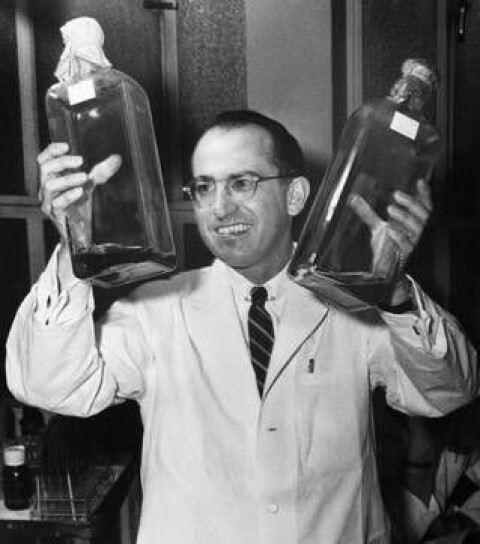 Mikrobiologen Jonas Salk (1914–1995) är den som blev känd världen över för sitt arbete med att utrota polio. Svenska Sven Gard hamnade lite mer i skuggan. Foto: GRANGER/REX/TT Mikrobiologen Jonas Salk (1914–1995) är den som blev känd världen över för sitt arbete med att utrota polio. Svenska Sven Gard hamnade lite mer i skuggan. Foto: GRANGER/REX/TT