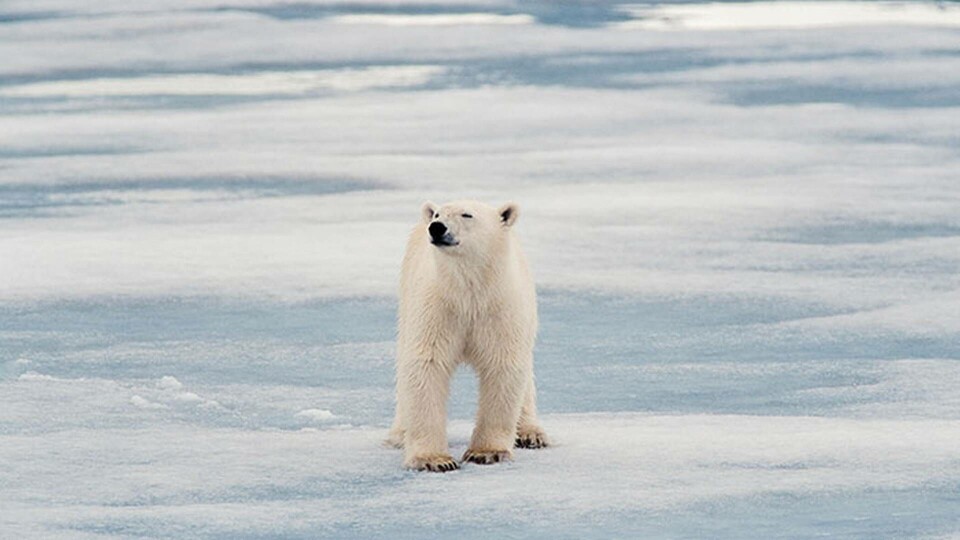 Foto: Alamy Foto: Alamy
