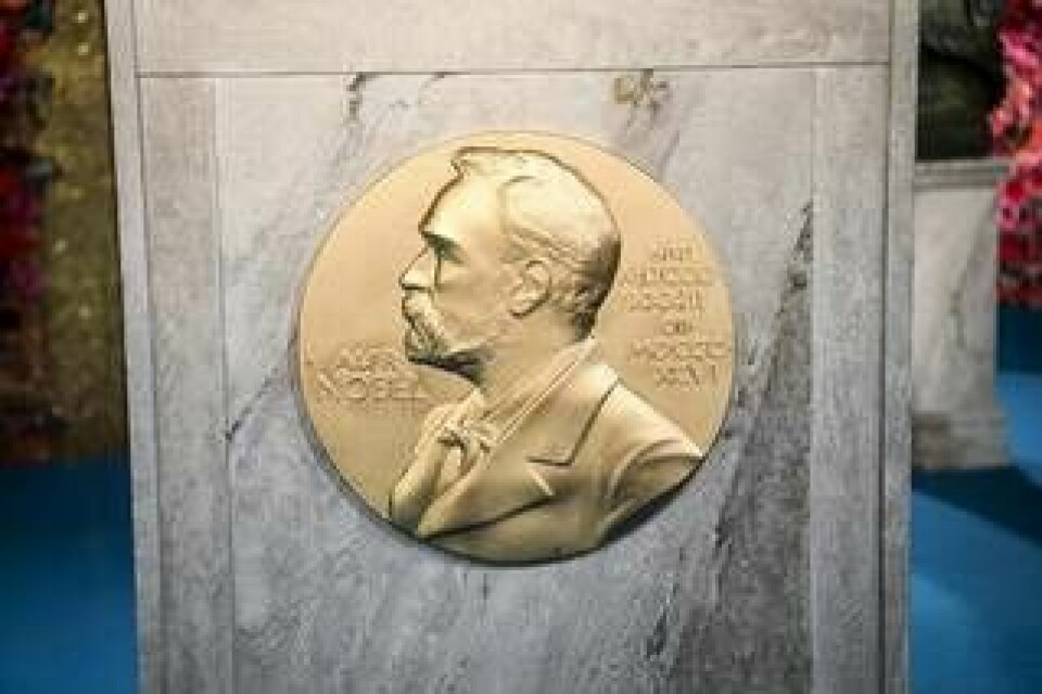 Vem belönas med årets Nobelpris i kemi? I dag får vi svaret. Arkivbild. Foto: Fredrik Sandberg/TT