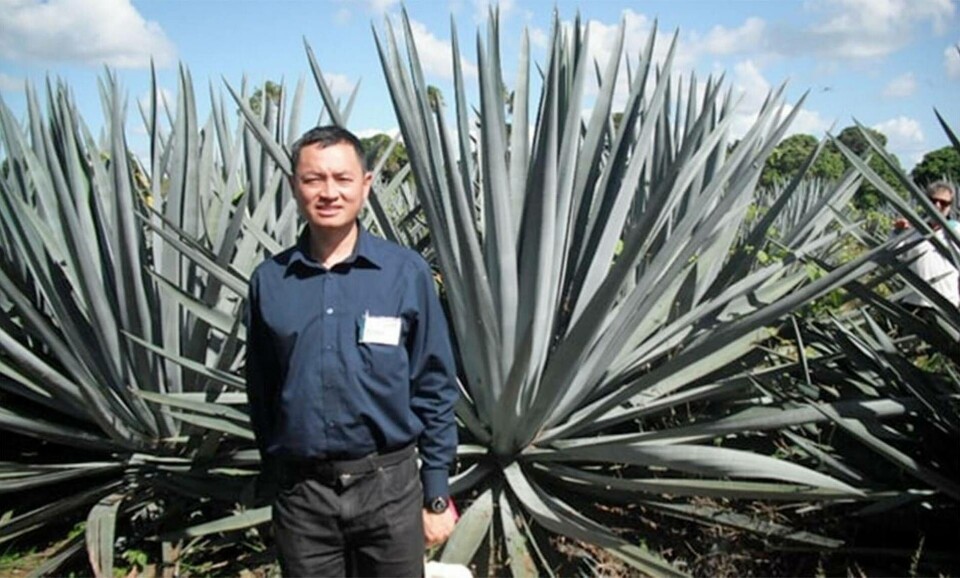 Foto: University of Sydney Foto: University of Sydney