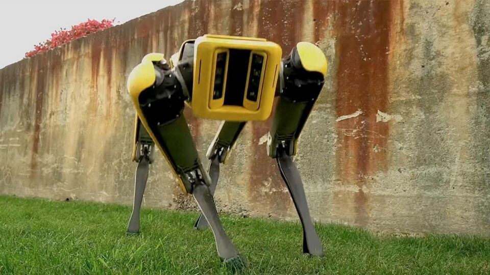 Robothunden Spot, utvecklad av Boston Dynamics. Foto: Boston Dynamics Robothunden Spot, utvecklad av Boston Dynamics. Foto: Boston Dynamics