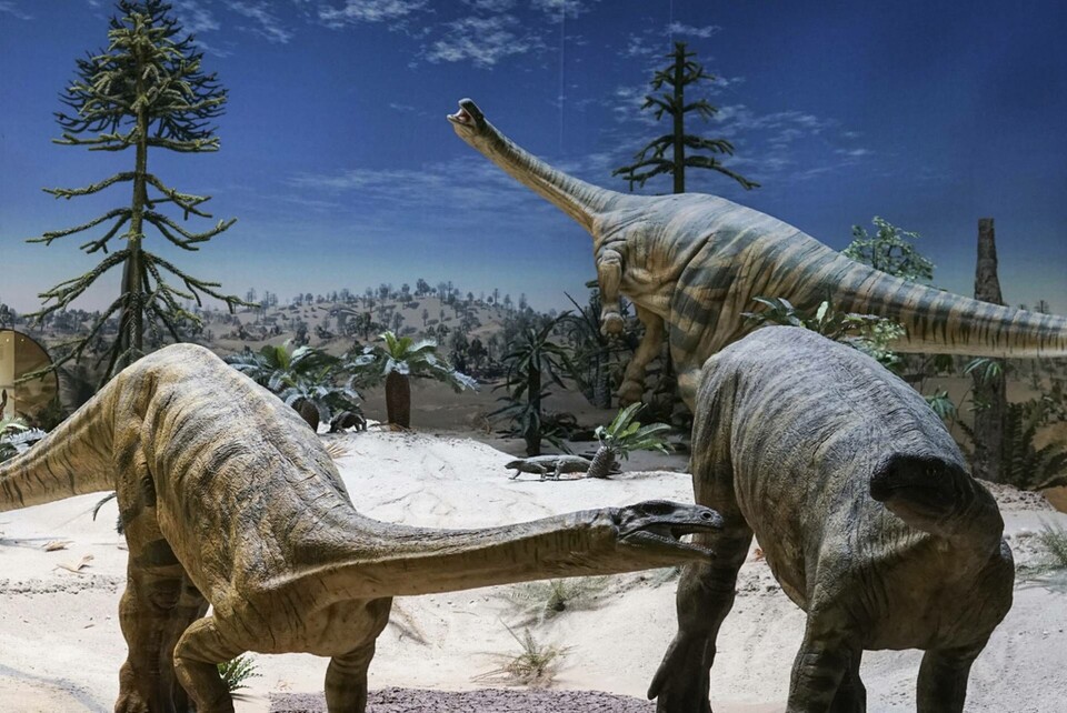 Den nya dinsosauriearten är en släkting till plateosaurus. Foto: Randall Irmis Den nya dinsosauriearten är en släkting till plateosaurus. Foto: Randall Irmis