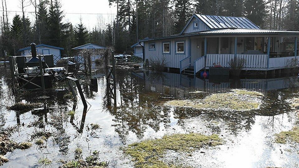 En översvämmad trädgård i ett bostadsområde i Forsby, norr om Gävle. Foto: Pontus Lundahl / TT