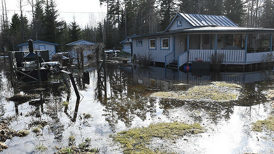 En översvämmad trädgård i ett bostadsområde i Forsby, norr om Gävle. Foto: Pontus Lundahl / TT En översvämmad trädgård i ett bostadsområde i Forsby, norr om Gävle. Foto: Pontus Lundahl / TT