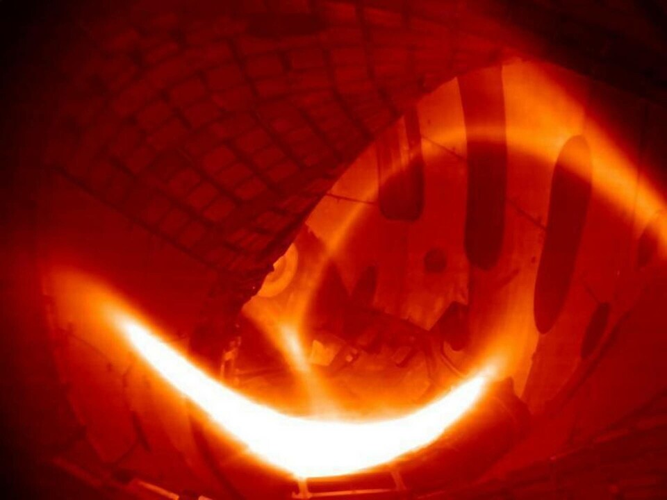 Experimentet i Tyskland är ett led i en europeisk plan att med magnetisk inneslutning kunna utnyttja fusionskraft. Reaktorn i den tyska staden Greifswald fick väteplasmat på bilden att existera i en fjärdedels sekund. Foto: IPP Experimentet i Tyskland är ett led i en europeisk plan att med magnetisk inneslutning kunna utnyttja fusionskraft. Reaktorn i den tyska staden Greifswald fick väteplasmat på bilden att existera i en fjärdedels sekund. Foto: IPP