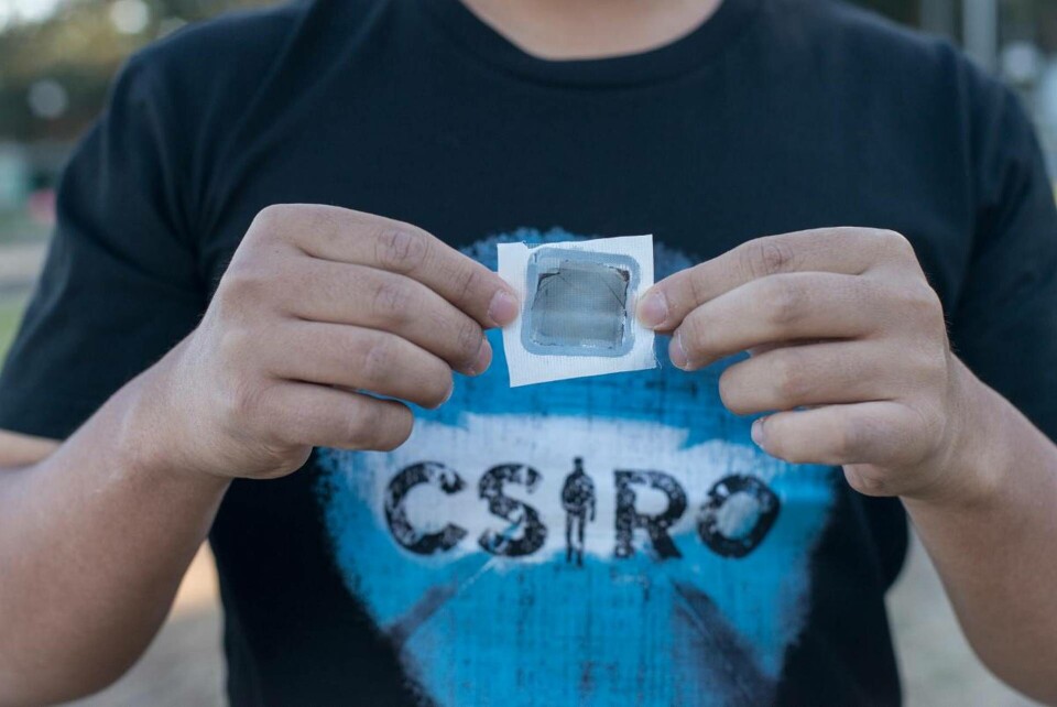 Foto: CSIRO Foto: CSIRO