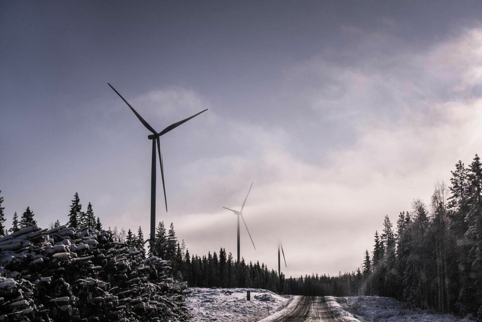 Arkivbild på vindkraftverk i Piteå. Foto: Magnus Hjalmarson Neideman/SvD/TT
