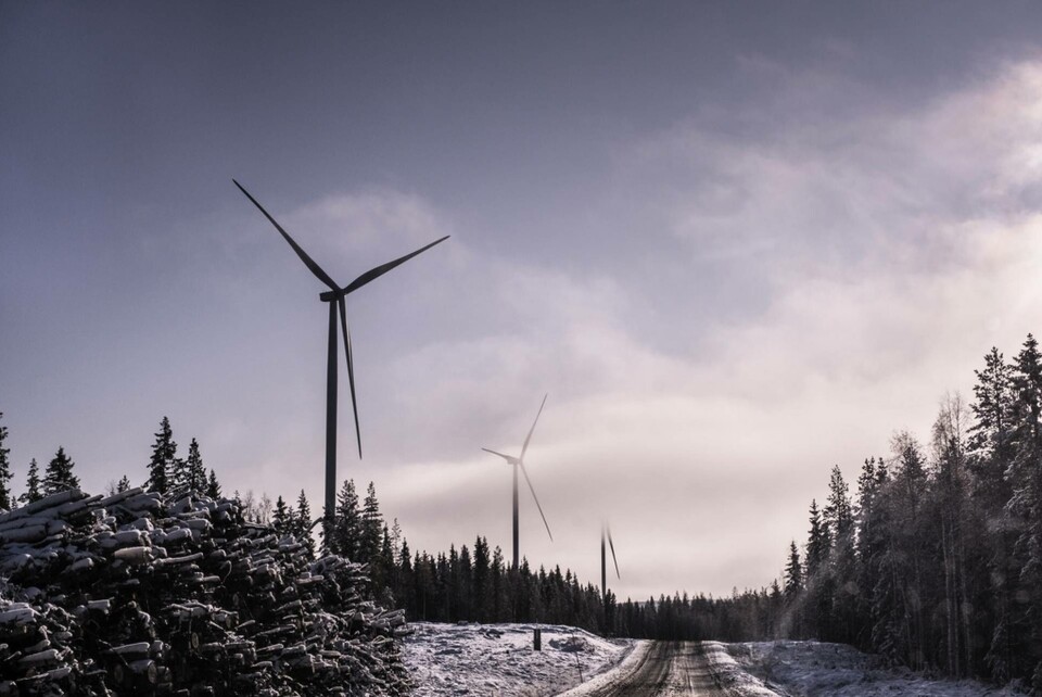Arkivbild på vindkraftverk i Piteå. Foto: Magnus Hjalmarson Neideman/SvD/TT Arkivbild på vindkraftverk i Piteå. Foto: Magnus Hjalmarson Neideman/SvD/TT