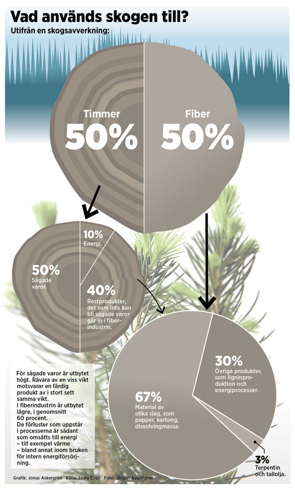 Vad används skogen till? Grafik: Jonas Askergren, källa: Stora Enso, foto: Jörgen Appelgren Vad används skogen till? Grafik: Jonas Askergren, källa: Stora Enso, foto: Jörgen Appelgren