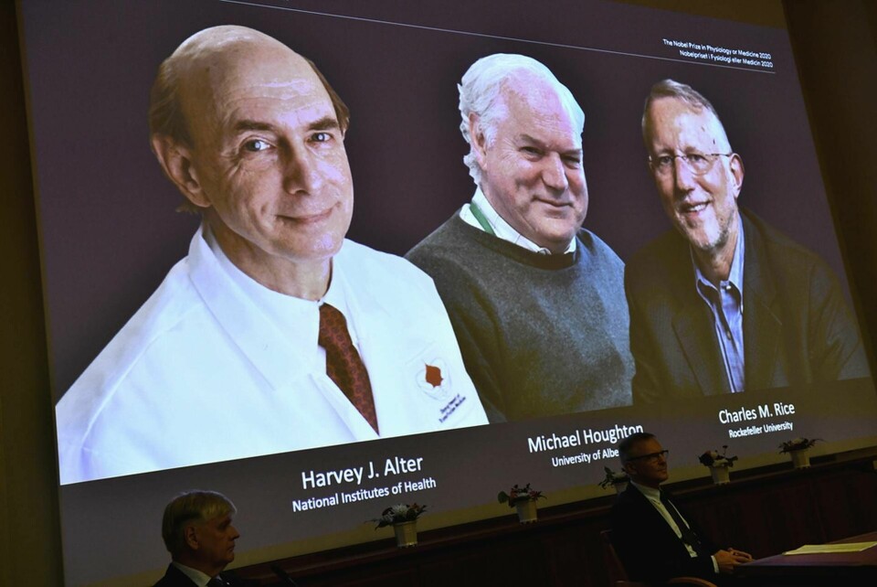 Harvey J. Alter, Michael Houghton och Charles M Rice – årets Nobelpristagare i fysiologi eller medicin. Foto: Claudio Bresciani/TT
