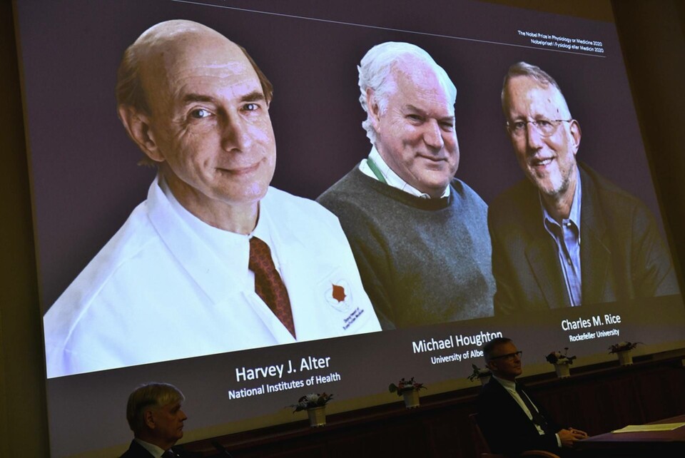 Harvey J. Alter, Michael Houghton och Charles M Rice – årets Nobelpristagare i fysiologi eller medicin. Foto: Claudio Bresciani/TT Harvey J. Alter, Michael Houghton och Charles M Rice – årets Nobelpristagare i fysiologi eller medicin. Foto: Claudio Bresciani/TT