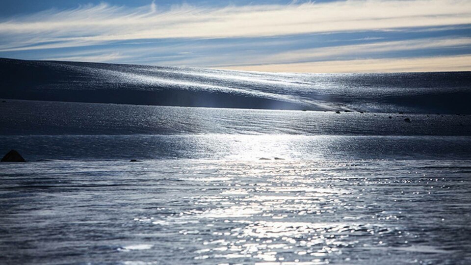 Växtplankton i Södra ishavet begränsas av järnbrist. Foto: Tore Meek / TT Växtplankton i Södra ishavet begränsas av järnbrist. Foto: Tore Meek / TT
