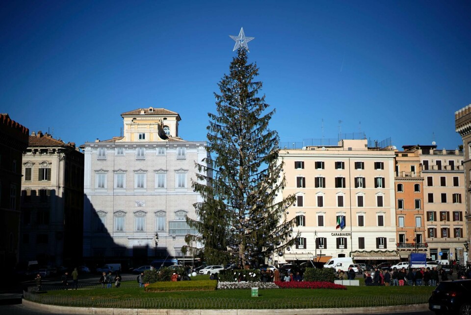 Den hånade julgranen i Rom kan få upprättelse. Foto: TT