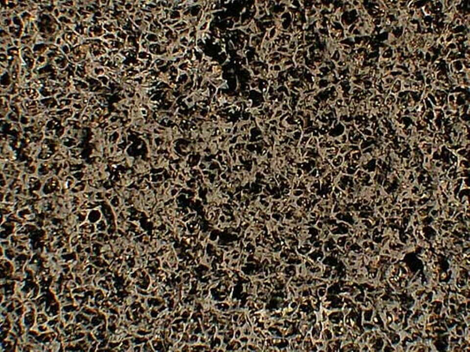 En titt i mikroskopet efter ett brandtest visar det fina nätet av kolfibrer, som hindrade det smälta skummet från att droppa ut. Foto: NIST