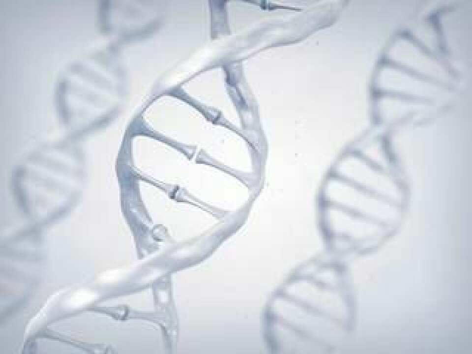 Dna. Foto: Science Photo Library/TT